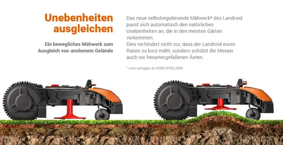 Preis prüfen und bestellen 🛍️